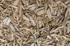 biomass boilers Musbury